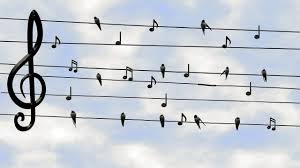 Qu'est ce que la musique?